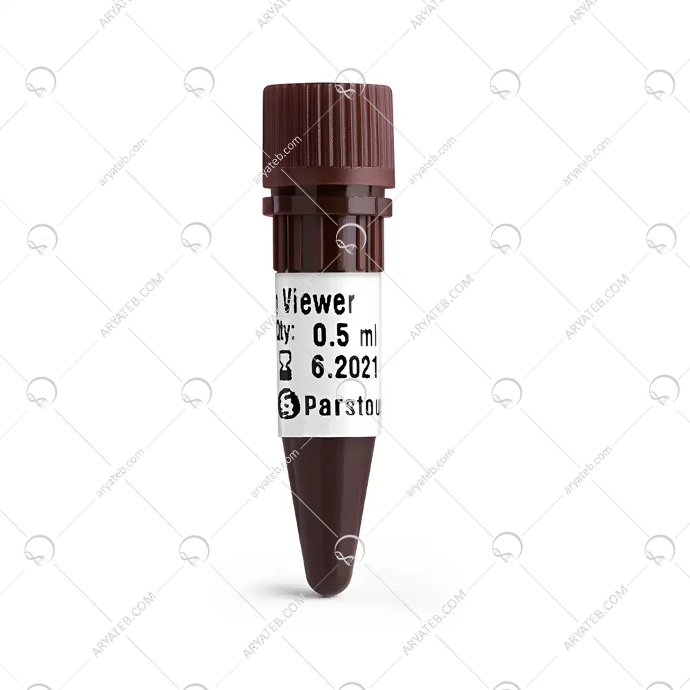 رنگ بی خطر DNA