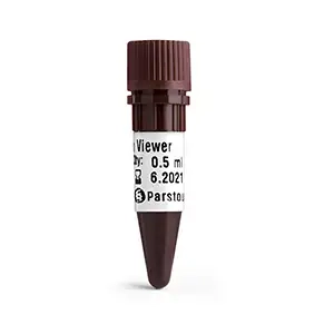 رنگ بی خطر DNA