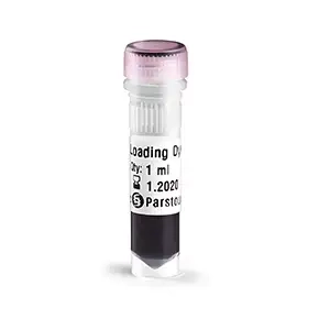 لودینگ سه رنگ DNA (6X)
