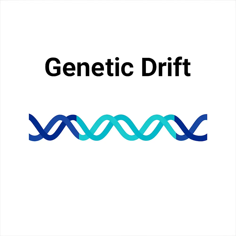 رانش ژنتیکی Genetic Drift