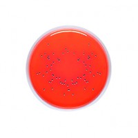 سالمونلا براث Salmonella enrichment broth